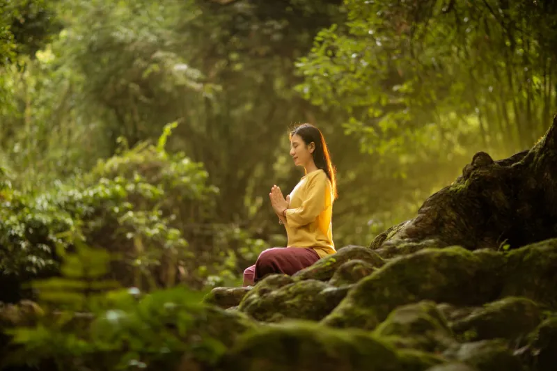 Silence Is Golden (And Apparently Costs $300 a Night): The Booming Business of Doing Absolutely Nothing
